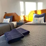 Wine Lovers In Puerto Del Carmen Appartement